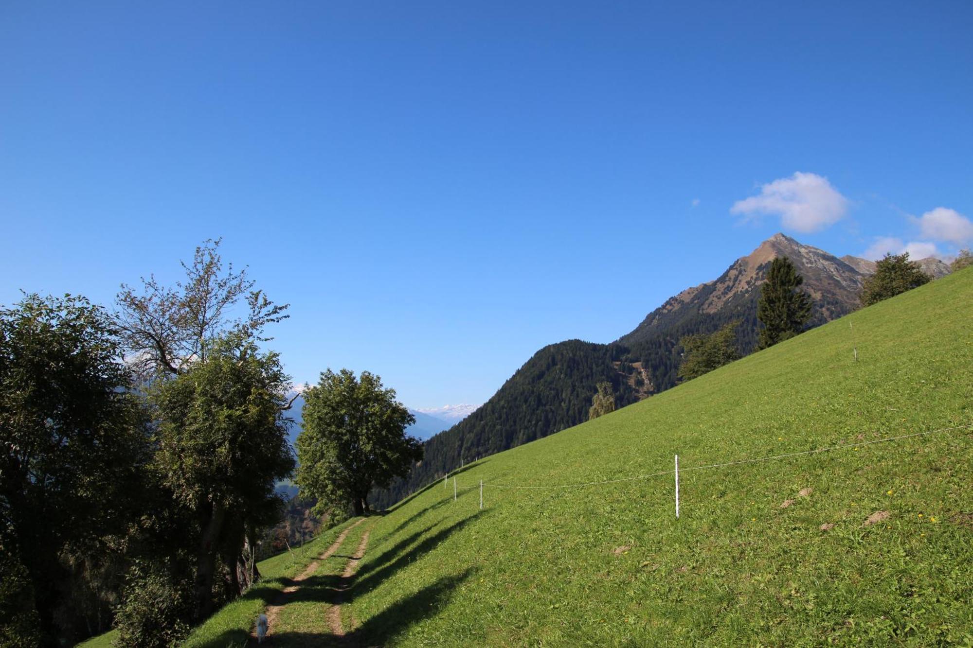 Gasthof Walde Rifiano Exterior foto